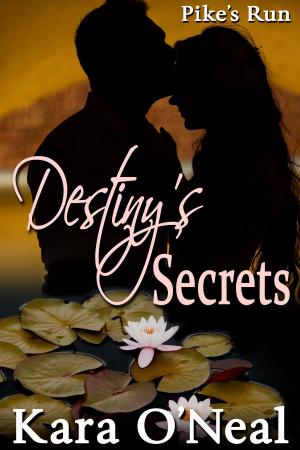 Cover of the book Destiny's Secrets by Megan Slayer