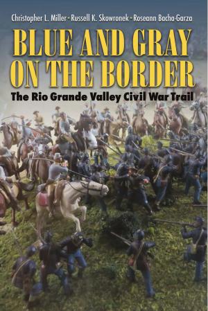 Cover of the book Blue and Gray on the Border by Peter Midgley