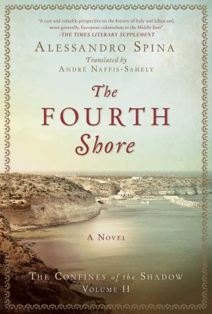 bigCover of the book The Fourth Shore by 