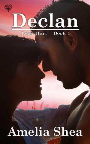 Cover of the book Declan by Becca Jameson