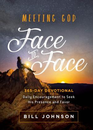 Cover of the book Meeting God Face to Face by Ron Phillips, DMin