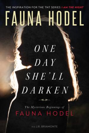 Cover of the book One Day She'll Darken by Paul Zindel