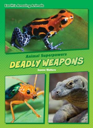 Cover of the book Deadly Weapons by Joanne Mattern