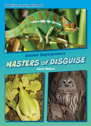 Cover of Masters of Disguise