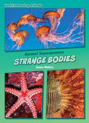 Cover of the book Strange Bodies by Wiley Blevins