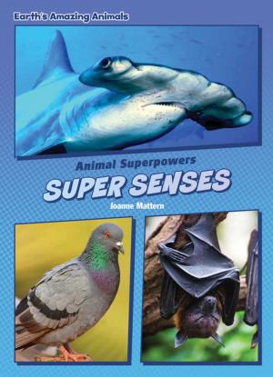 Cover of the book Super Senses by Tanya Rowe
