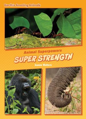 Cover of the book Super Strength by Joanne Mattern