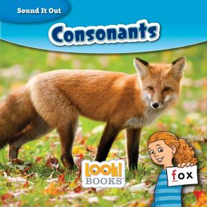 Cover of the book Consonants by Joanne Mattern