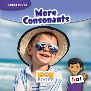 Cover of the book More Consonants by Joanne Mattern