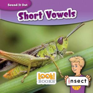 Cover of the book Short Vowels by Joanne Mattern