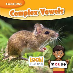 Cover of the book Complex Vowels by Jeff Dinardo