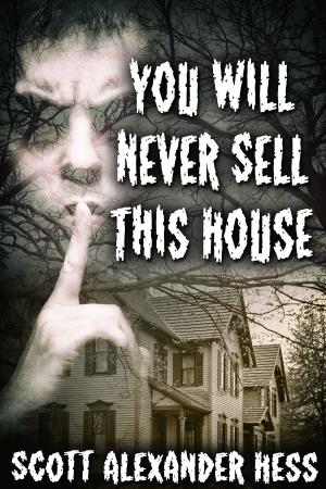 Cover of the book You Will Never Sell This House by K.L. Noone