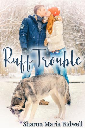 Cover of the book Ruff Trouble by Albert W. Aiken