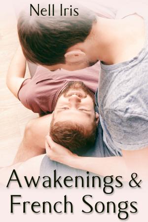 Cover of the book Awakenings and French Songs by J.T. Marie