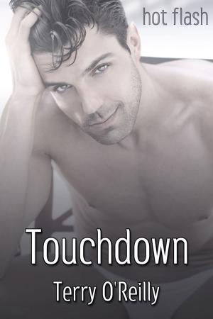 Cover of the book Touchdown by William Holden