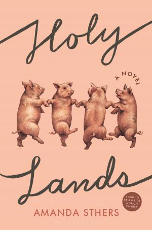 Cover of the book Holy Lands by David Edgar