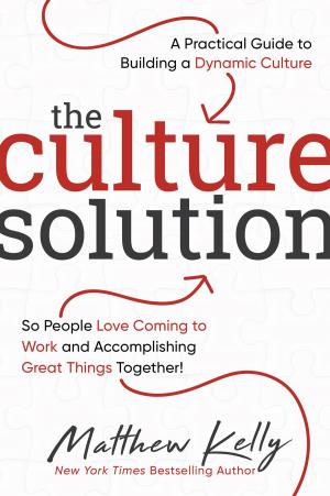bigCover of the book The Culture Solution by 