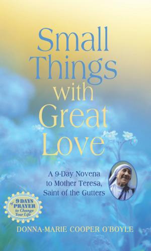 Cover of the book Small Things With Great Love by Joe Doolan