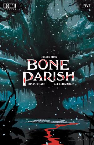 Book cover of Bone Parish #5