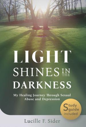 Book cover of Light Shines in the Darkness