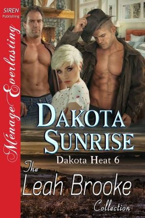 Book cover of Dakota Sunrise