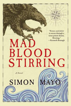 Cover of the book Mad Blood Stirring: A Novel by D. J. Taylor