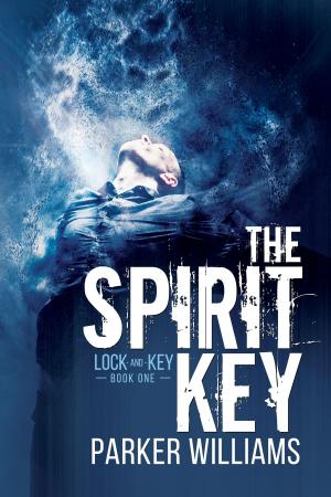 Cover of the book The Spirit Key by Asta Idonea