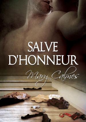Book cover of Salve d'honneur