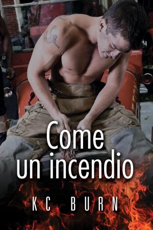 Cover of the book Come un incendio by M.J. O'Shea