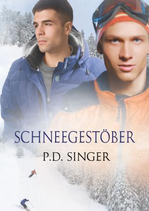 Cover of the book Schneegestöber by B.G. Thomas