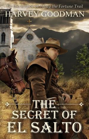 Cover of the book The Secret of El Salto by Mordechai Lazarus