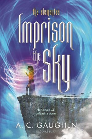 Cover of the book Imprison the Sky by Patrick M. Alderton