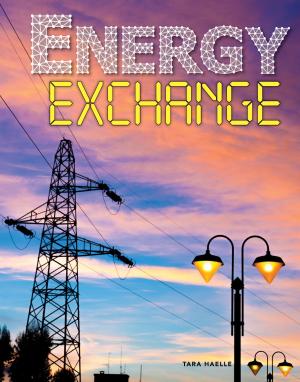 Cover of the book Energy Exchange by Meg Greve