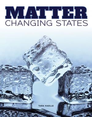 Cover of the book Matter Change States by Lisa Schnell