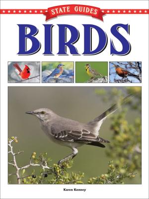 Cover of the book State Guides to Birds by Kyla Steinkraus