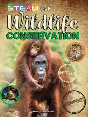Cover of the book STEM Jobs in Wildlife Conservation by Carolyn Kisloski