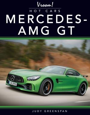 Cover of the book Mercedes AMG-GT by Ann Matzke
