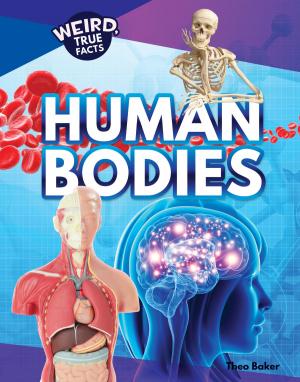 Cover of the book Human Bodies by Pete Jenkins