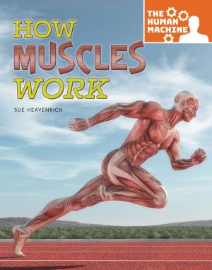 Cover of the book How Muscles Work by Anastasia Suen