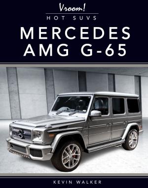 Book cover of Mercedes AMG G-65