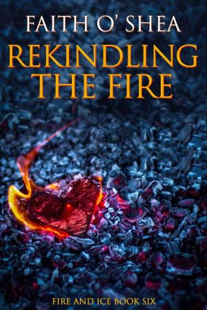 Cover of the book Rekindling the Fire by J.C. Reed