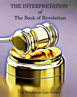 Cover of the book The Interpretation of the Book of Revelation by Jarryd  Jaeger