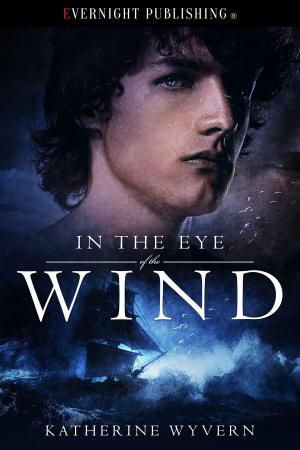 Cover of the book In the Eye of the Wind by LM Spangler