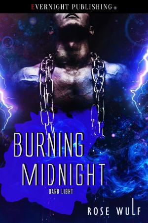 Cover of the book Burning Midnight by Elizabeth Monvey