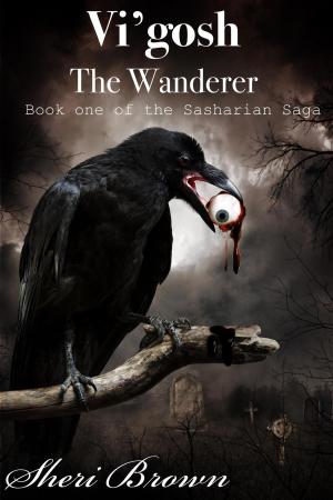 bigCover of the book Vi'gosh The Wanderer by 