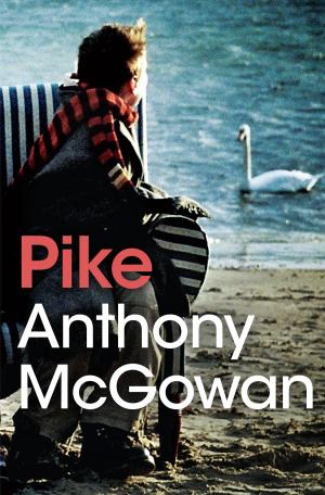 bigCover of the book Pike by 