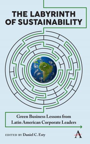 Cover of the book The Labyrinth of Sustainability by Vincent Horn