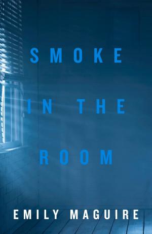Cover of the book Smoke in the Room by Peter Burden, Julia Dillon