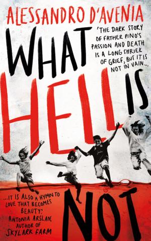 Cover of the book What Hell Is Not by Gwynne Dyer