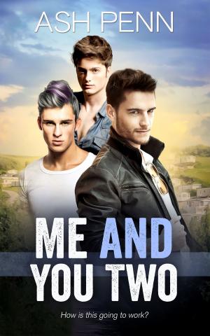 Cover of the book Me and You Two by Morticia Knight